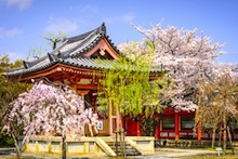 Splendeurs du Japon